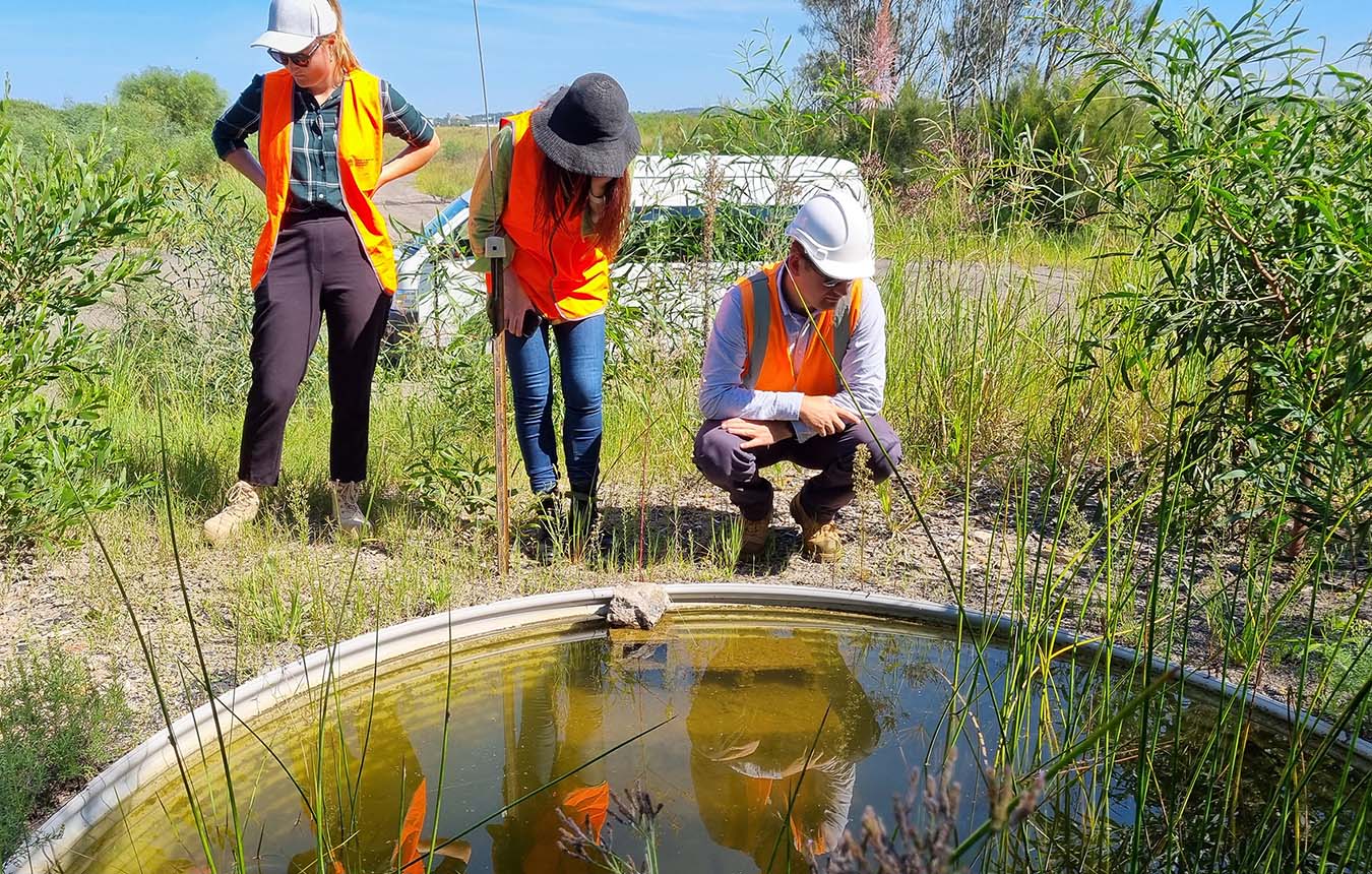 Kooragang Island visit, three people standing on grass looking at land, high vis, near frog pond, HCCDC workers