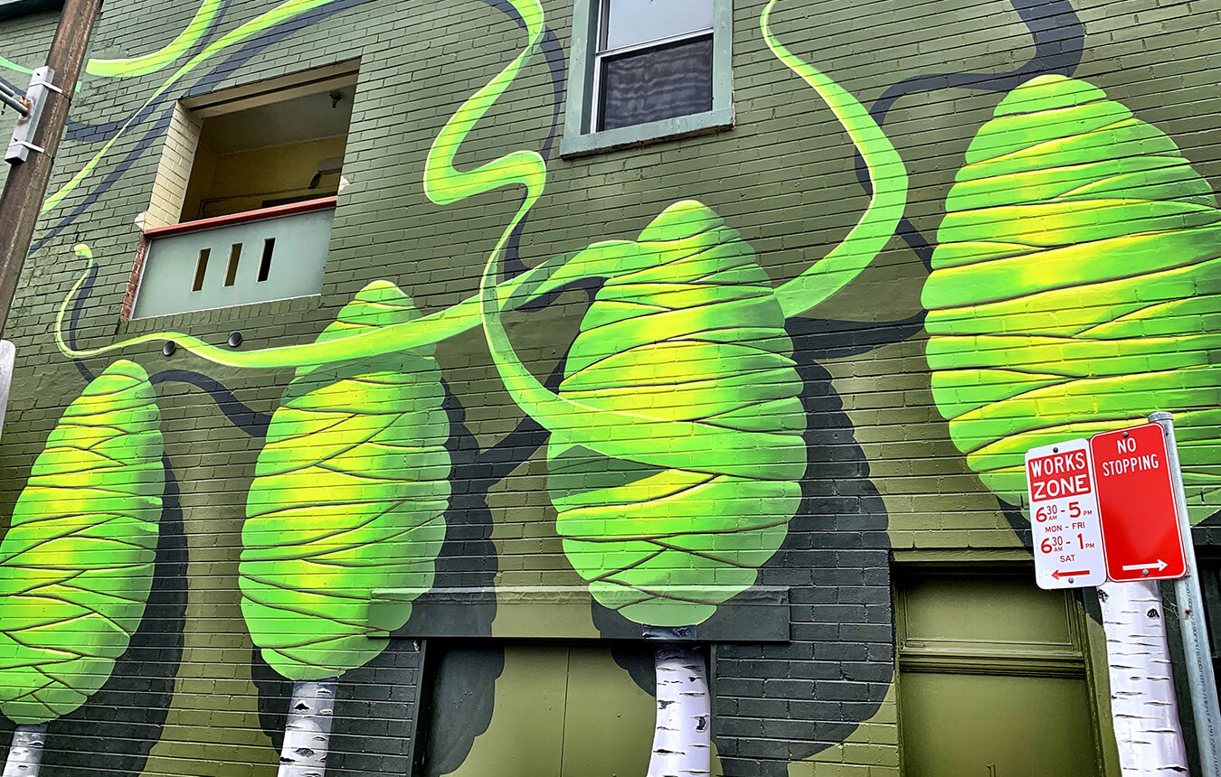 Patricia Van Lubeck mural on the corner of Union and King Streets, Newcastle