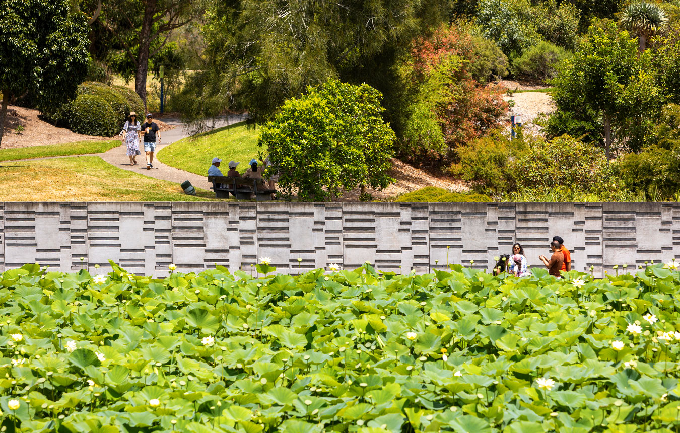 Mount Penang Gardens, Central Coast